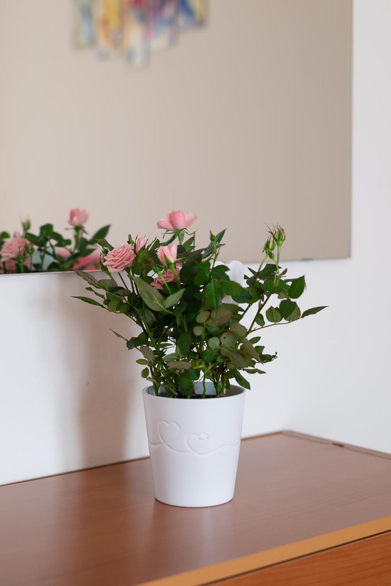 ラツィーゼTerrazza Baciata Dal Soleアパートメント エクステリア 写真